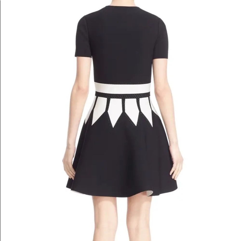 ALEXANDER MACQUEEN ntarsia Knit Fit & Flare Dress - Picture 4 of 11